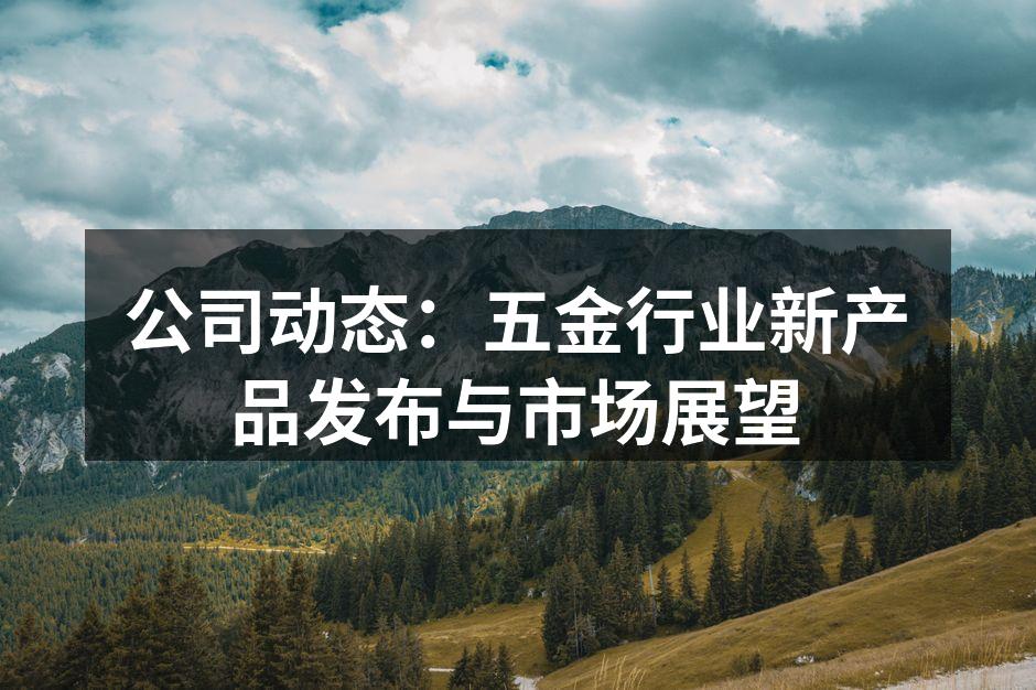 公司动态：五金行业新产品发布与市场展望