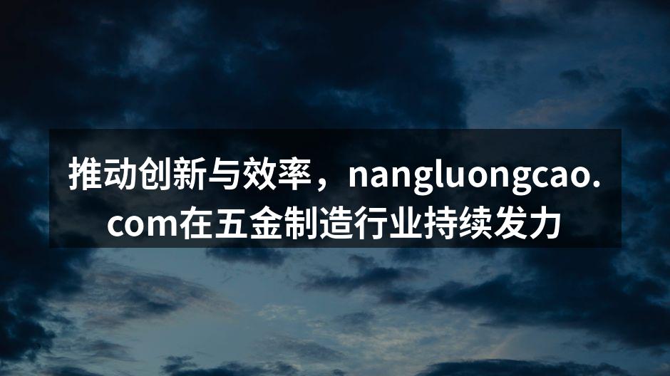 nangluongcao.com展位，吸引众多客户